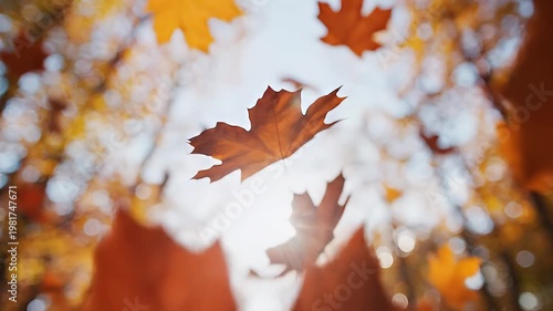 Wallpaper Mural Sunlight filters through vibrant golden autumn leaves Torontodigital.ca