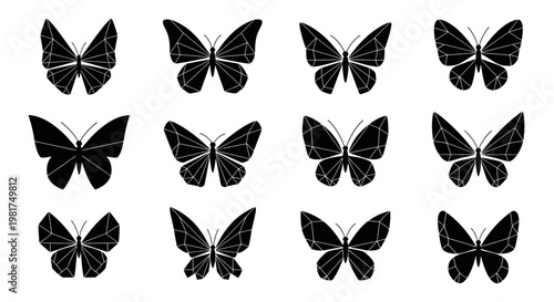Collection of black butterflies on white background.