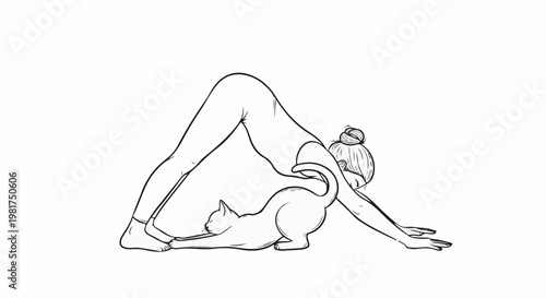 Line drawing of woman doing yoga pose with cat stretching beneath her