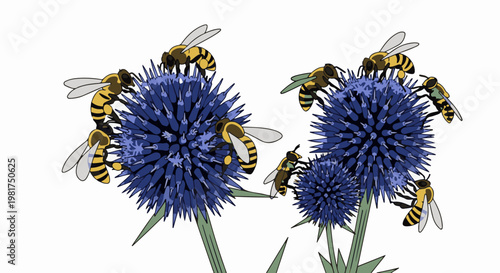 Many bees buzzing around prickly blue globe thistle flowers
