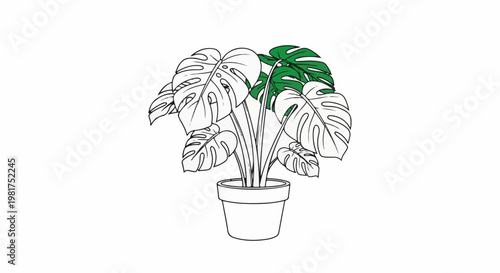 Line art of a potted plant with distinctive leaf shapes, some green