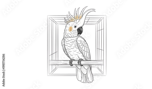Hand Drawn Cockatoo Parrot in Cage Sketch Exotic Bird Vector Illustration