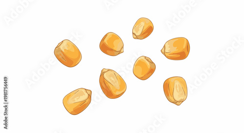 Isolated illustration of popcorn kernels scattered on a white background