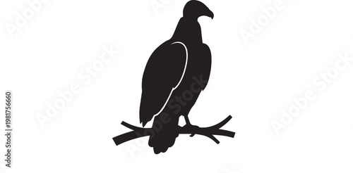 Vulture or scavenger bird perched silhouette vector