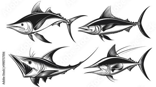 Four illustrative black-and-white marlin fish in varied poses on a white background
