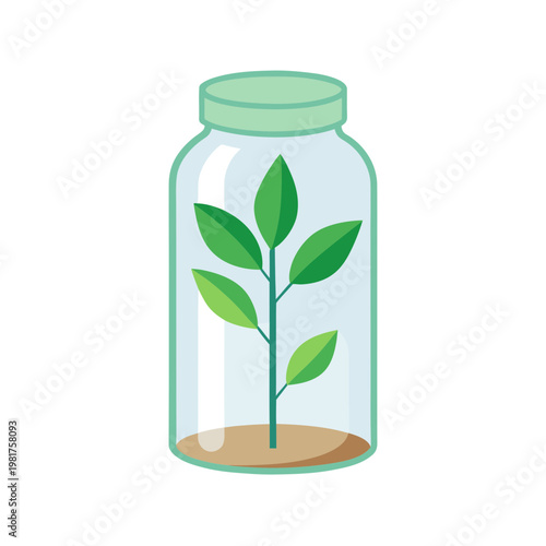 Sprout growing in glass jar terrarium with soil for science experiment and botanical exploration