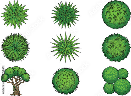 Vector Collection of Different Tree and Shrub Designs for Landscaping, Nature, and Botanical Illustrations