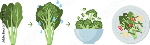 Broccoli preparation vector set featuring washing, cutting and salad bowl process isolated healthy vegetable cooking illustration collection