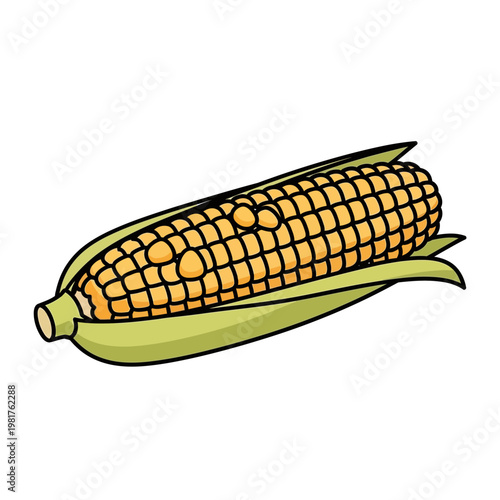 Freshly picked ear of corn with green leaves, isolated on white.