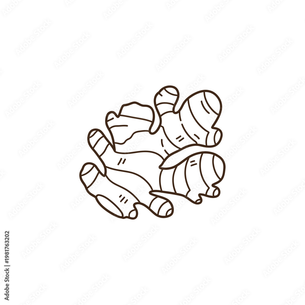 Fototapeta premium Simple line art illustration of a ginger root, perfect for culinary and health concepts.