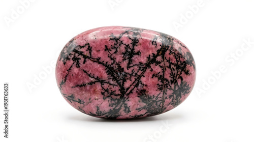 Polished Rhodonite Gemstone with Black Dendritic Inclusions - Studio Shot