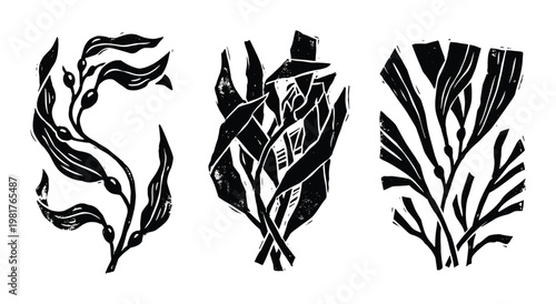 Black kelp strip linocut, hand-drawn seaweed leaves in a row vector illustration.
