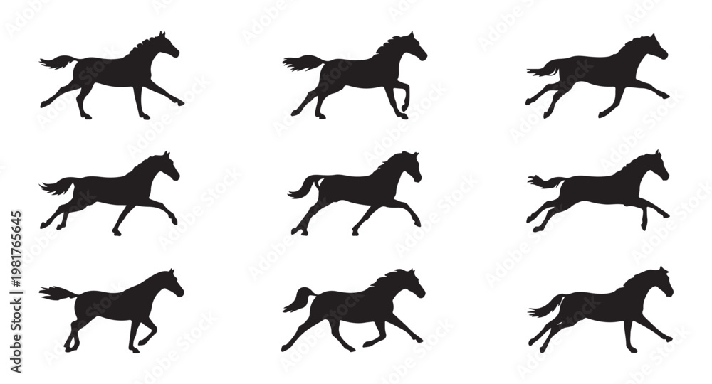 Fototapeta premium Set of horse running silhouettes in different gaits on white background.