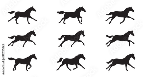 Set of horse running silhouettes in different gaits on white background.