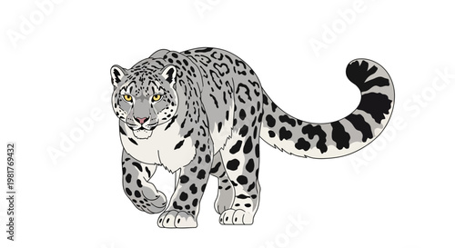 Snow Leopard Walking on White Background, Wildlife Illustration