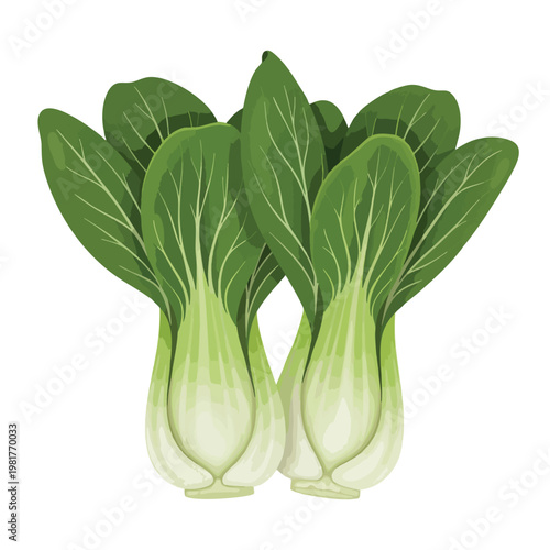Fresh Crisp Bok Choy Leaves for Healthy Cooking and Nutrition