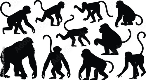 Diverse Black Monkey Silhouettes in Multiple Poses on White Background primate animal