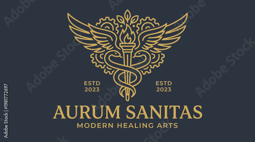 This logo combines a torch and symbolic elements to create a striking representation of modern healing arts, aimed at promoting wellness and holistic health practices.
