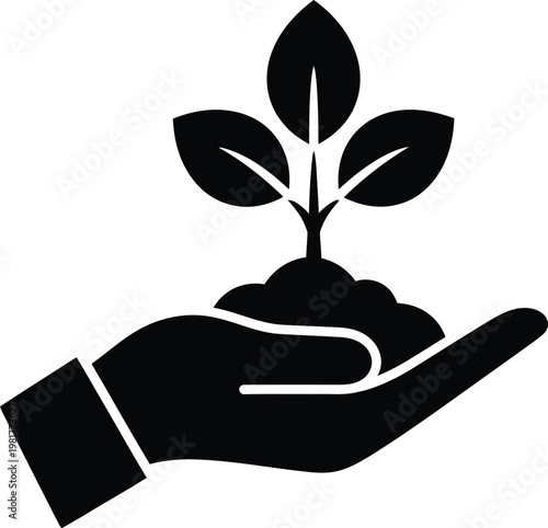 A hand gently holding a young sprout with three leaves symbolizing growth and nurturing life