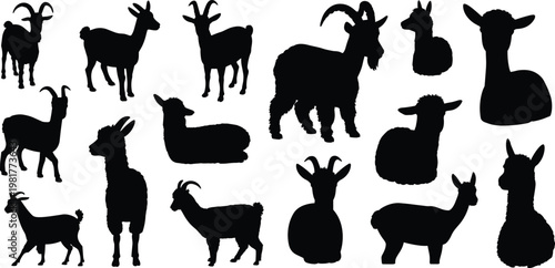 Silhouette collection of various goats and llamas standing and resting on white Keywords: silhouette, goat, goats, llama, llamas, animal