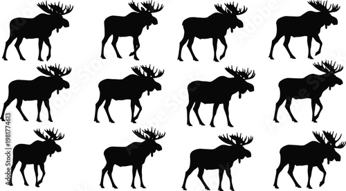 Moose silhouette collection vector set featuring different poses of wild antlered deer isolated black wildlife animal illustration