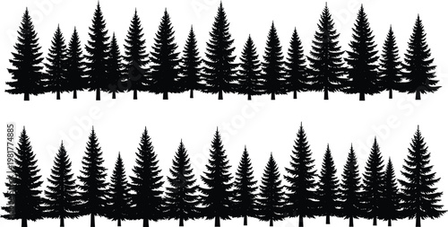 Pine tree forest silhouette collection vector set of evergreen spruce trees isolated black nature landscape design elements