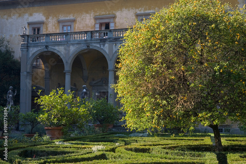 Giardino Corsini al Prato, Florence, Tuscany, Italy: view of the palace across the box hedging, lemon trees and statuary