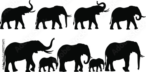 Elephant silhouettes collection vector, wild safari animals set, black elephant poses isolated, wildlife mammal illustration design elements pack