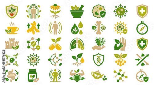 Holistic Health and Herbal Supplement Icons for Natural Immune Defense