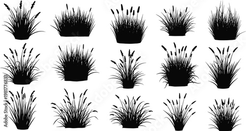Grass and reed silhouette collection vector set featuring wild meadow plants isolated black botanical elements for landscape and nature design