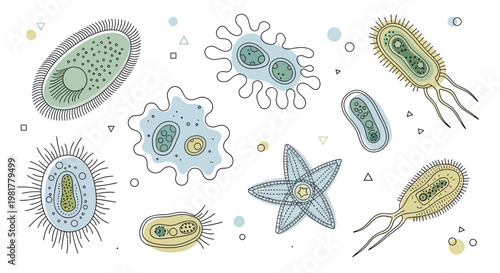 Collection of diverse microorganisms and bacteria illustrated.