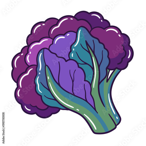 This vibrant purple cauliflower stands out with its rich colors and unique leaves, showcasing both nature's beauty and creative produce from the garden or farm.