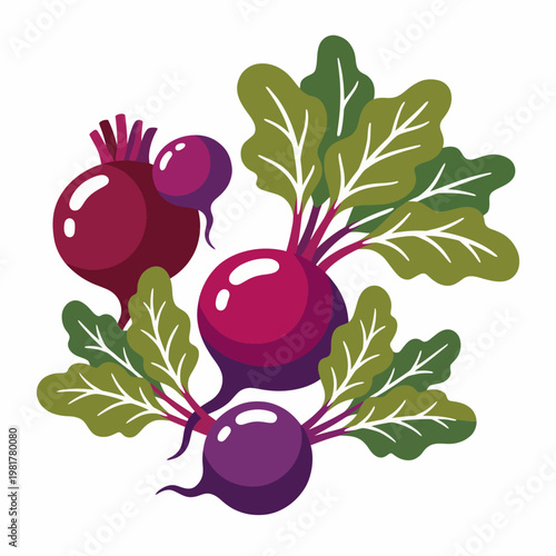 An illustration showcasing colorful radishes with vibrant greens, representing freshness and organic produce, ideal for food-related themes, gardening, and health.