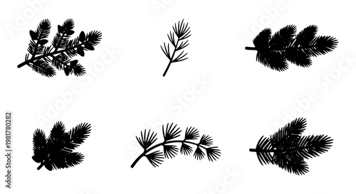 Evergreen pine branch silhouettes, set of 6 conifer needle vector elements, black fir and spruce foliage icons for winter holiday design