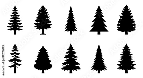 Pine tree silhouette collection, set of 10 evergreen conifer vector icons, black spruce and fir forest elements for winter holiday design