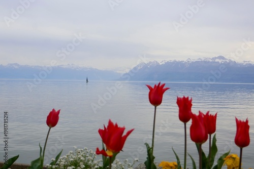 Εκτύπωση καμβά Red tulips in front of Geneva lake and mountains
