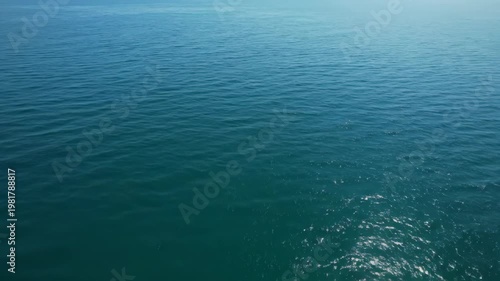 Ocean waves create rippling patterns across the surface of the tranquil sea, reflecting sunlight in a serene coastal environment with clear blue skies