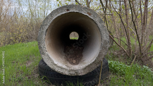 Foto Concrete drainage pipe tunnel in forest with circular perspective view