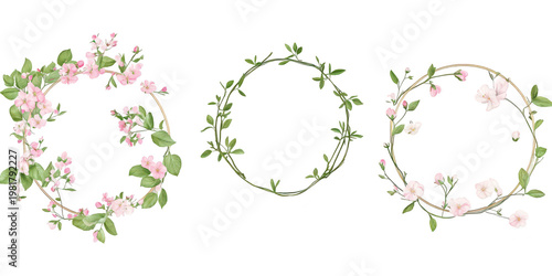 Set of Three Delicate Pink Blossom Flower Wreaths with Green Leaves on Transparent Background 