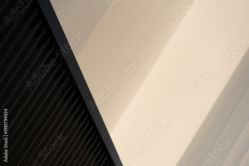 black and white detail of modern architecture background