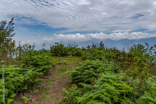 Above the Valley – Misty Mountains of Vietnam