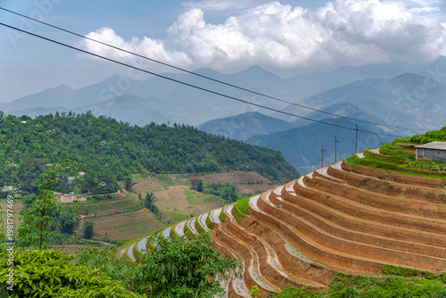 erraced Harmony – Rice Fields in the Mountain Light