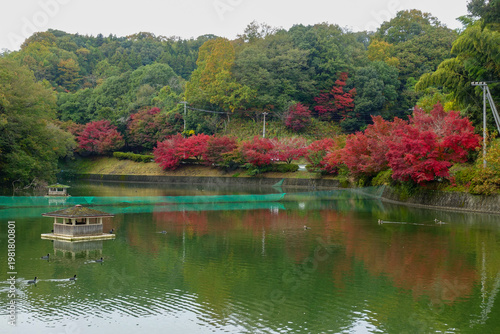 Autumn lake with colorful foliage reflections along Shikoku Henro route in Japan