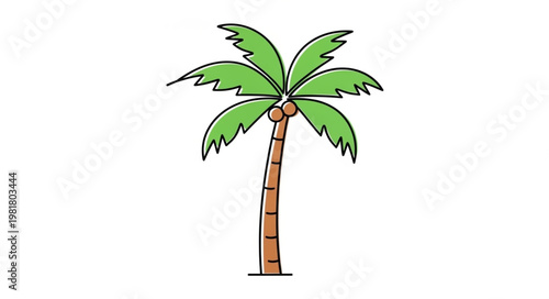 Cartoon Palm Tree Illustration Tropical Fronded Trunk Drawing.