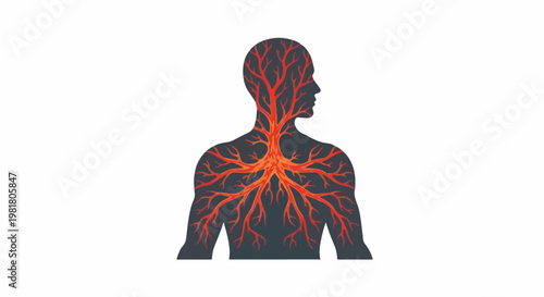 Silhouette of a human torso with branching red circulatory system inside