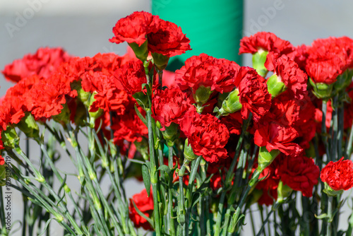 Red carnations bouquet symbolizing the 25 de Abril in Portugal. The Concept of revolution.