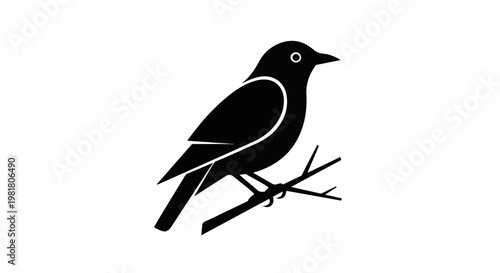 Silhouette of a small bird perched on a bare branch