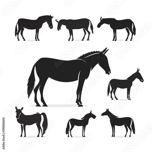 Collection of various donkey standing poses silhouette with silhouette set black silhouette vector silhouette isolated on white icon set vector icons minimal design clipart silhouette domestic