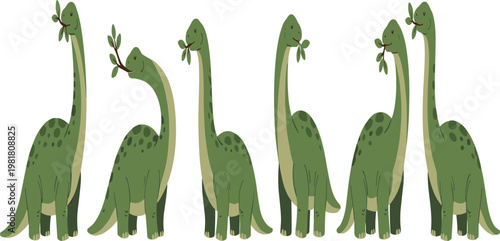 Green Brontosaurus dinosaur vector set standing and eating leaves cute cartoon style illustration