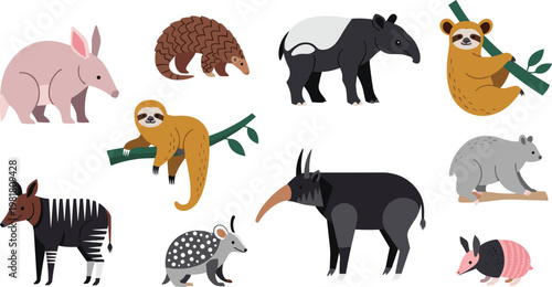 Bild auf Leinwand Unique and Cute Mammals Vector Set Featuring Armadillos, Sloths, Anteaters, and